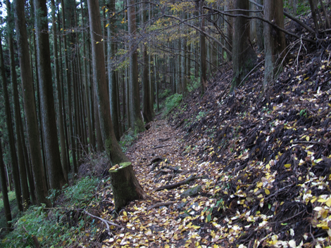 20151116hike (327)